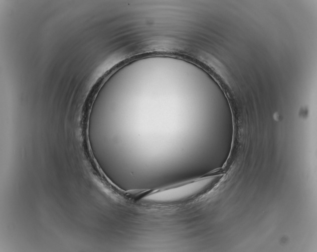 X0000097631026200803142020