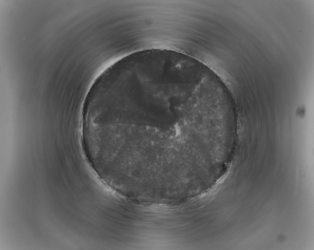 X0000097631028200803142020