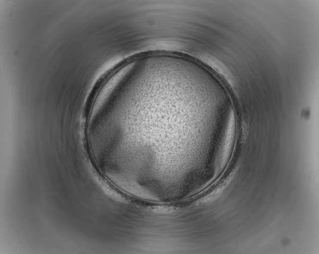 X0000097631029200803142020