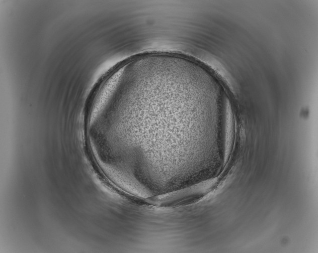 X0000097631030200803142020