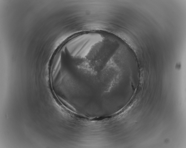 X0000097631031200803142020