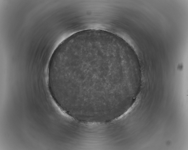 X0000097631032200803142020