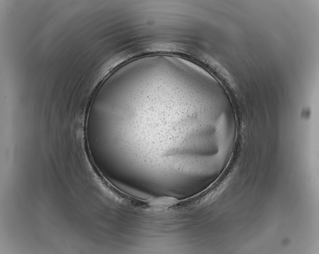 X0000097631033200803142020