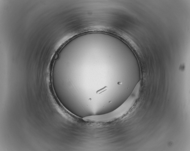 X0000097631034200803142020