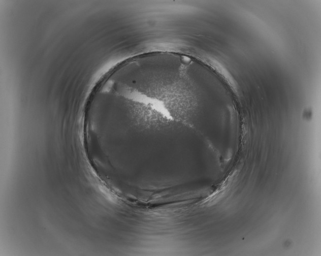 X0000097631035200803142020