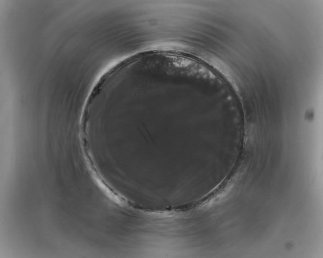 X0000097631037200803142020