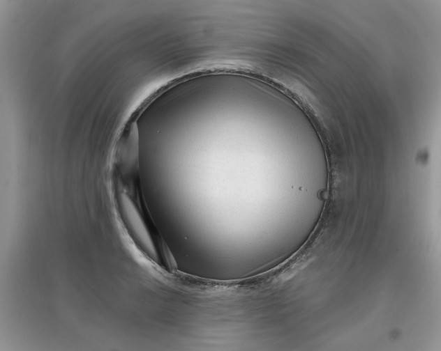 X0000097631038200803142020