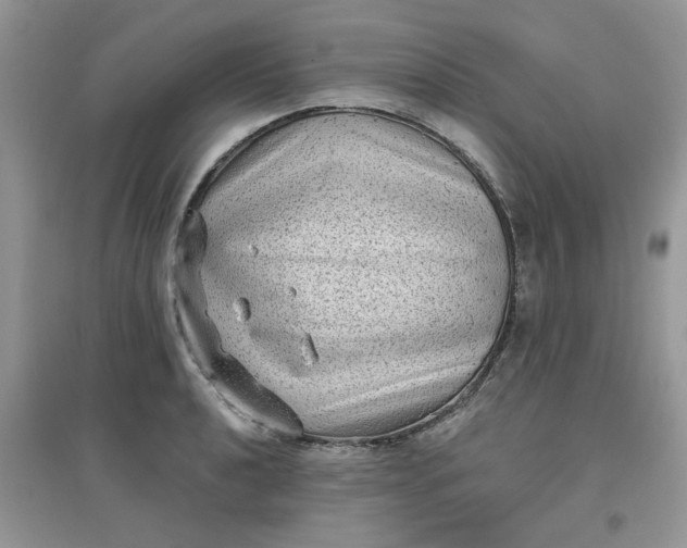 X0000097631040200803142020