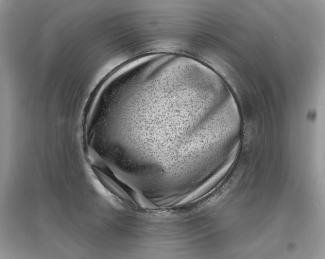 X0000097631042200803142020