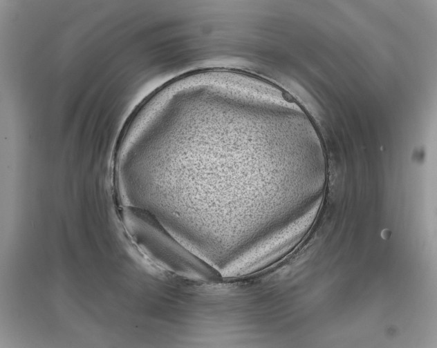 X0000097631044200803142020