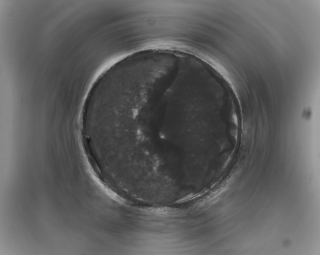 X0000097631045200803142020