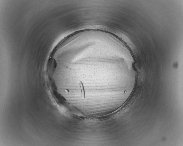 X0000097631046200803142020