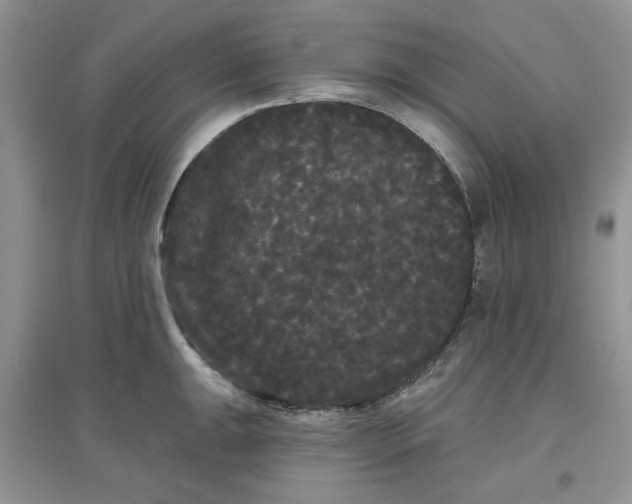 X0000097631047200803142020