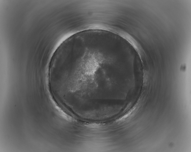 X0000097631048200803142020