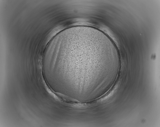 X0000097631049200803142020