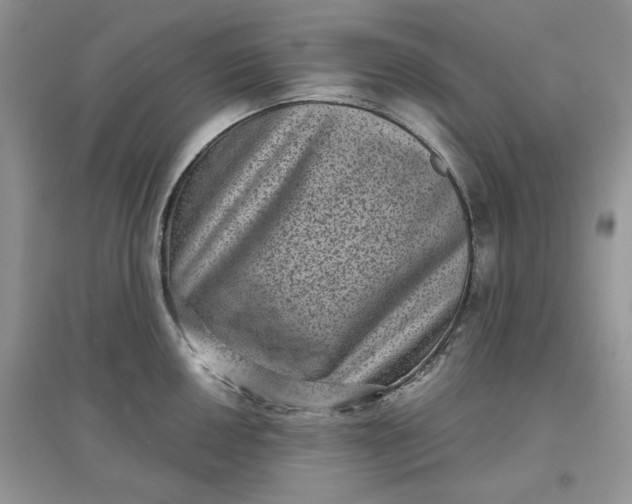 X0000097631050200803142020