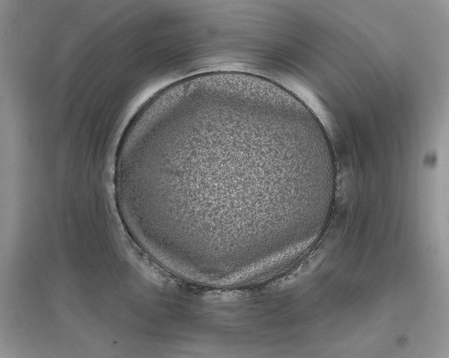 X0000097631051200803142020