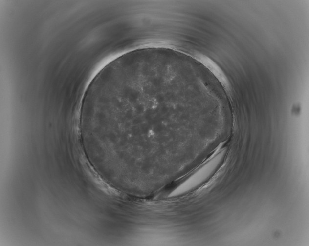 X0000097631052200803142020