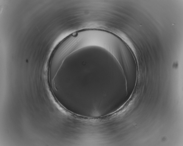 X0000097631053200803142020