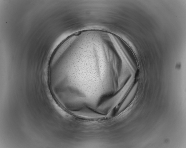 X0000097631054200803142020