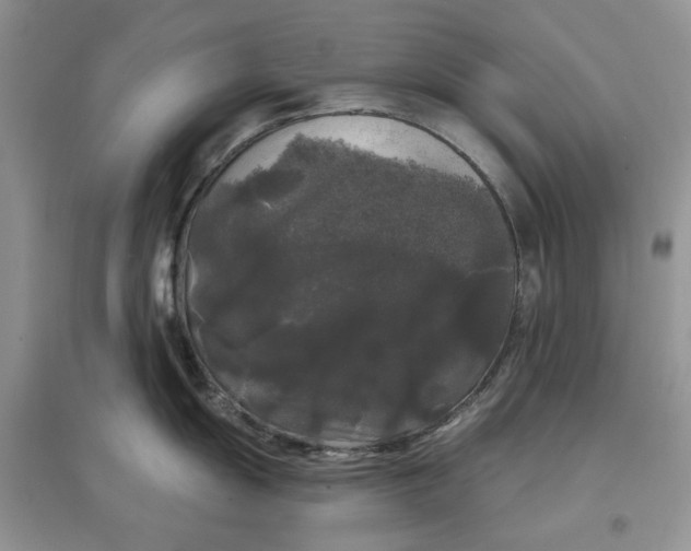 X0000097631055200803142020