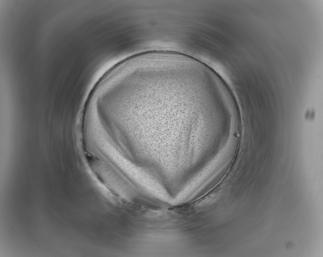 X0000097631056200803142020