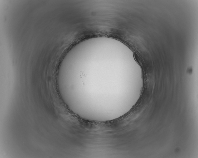 X0000097631057200803142019