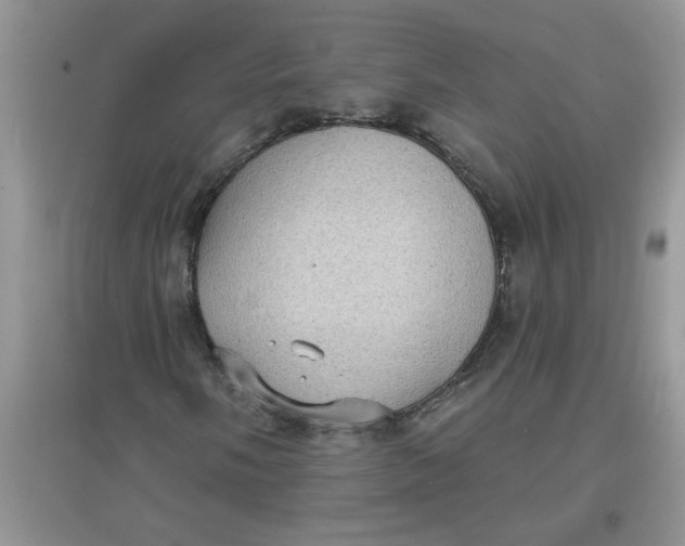 X0000097631058200803142019