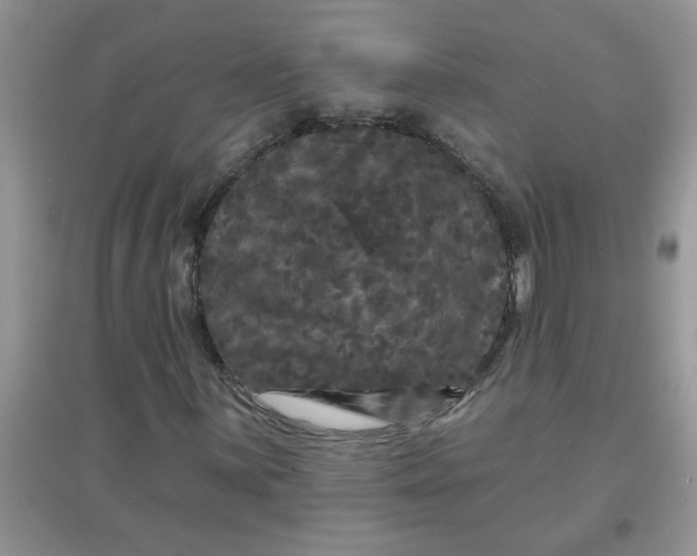 X0000097631059200803142019