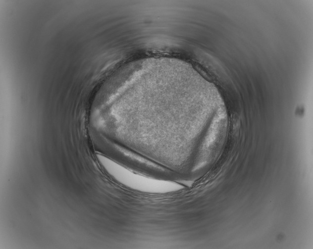 X0000097631060200803142019