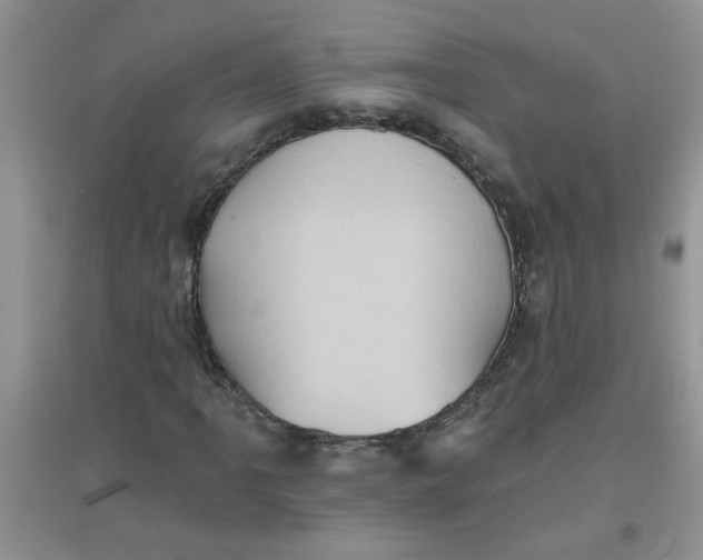 X0000097631061200803142019