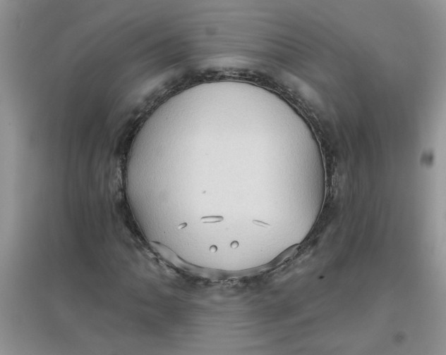 X0000097631062200803142019