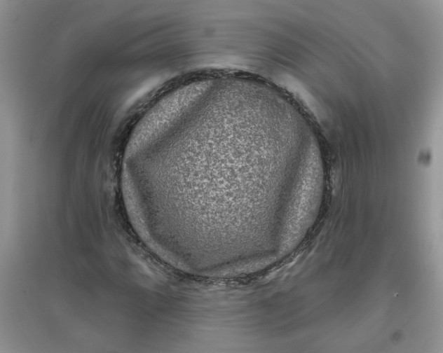 X0000097631064200803142019