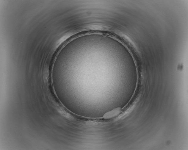 X0000097631065200803142019