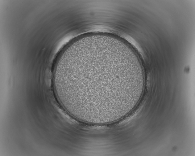 X0000097631067200803142019