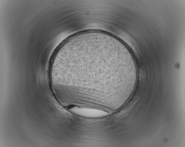 X0000097631068200803142019