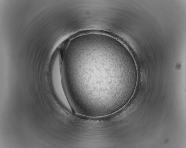 X0000097631069200803142019