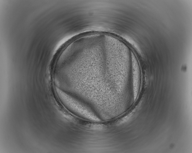 X0000097631070200803142019