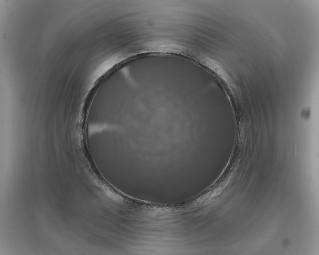 X0000097631071200803142019