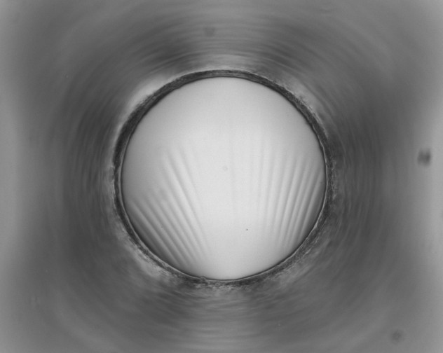 X0000097631072200803142019