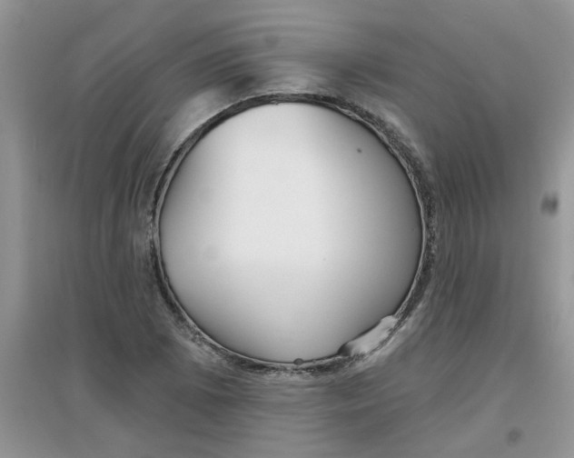 X0000097631073200803142019