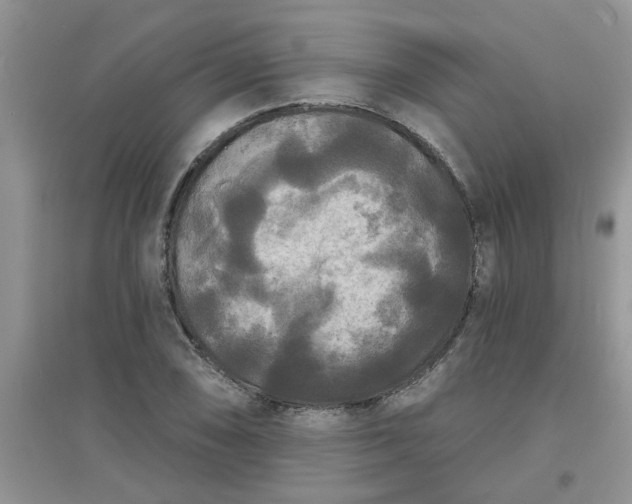 X0000097631074200803142019