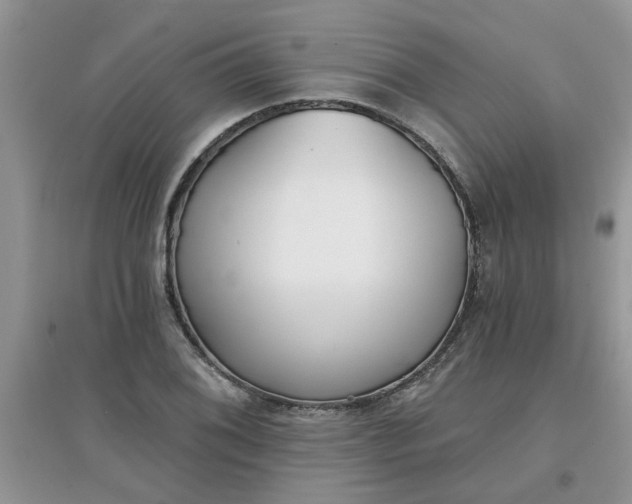 X0000097631076200803142019