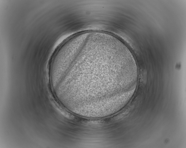 X0000097631078200803142019