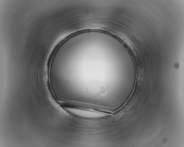 X0000097631080200803142019