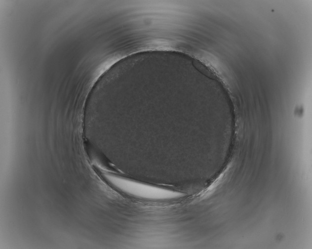 X0000097631081200803142019