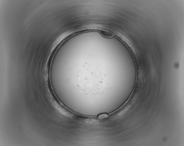 X0000097631082200803142019