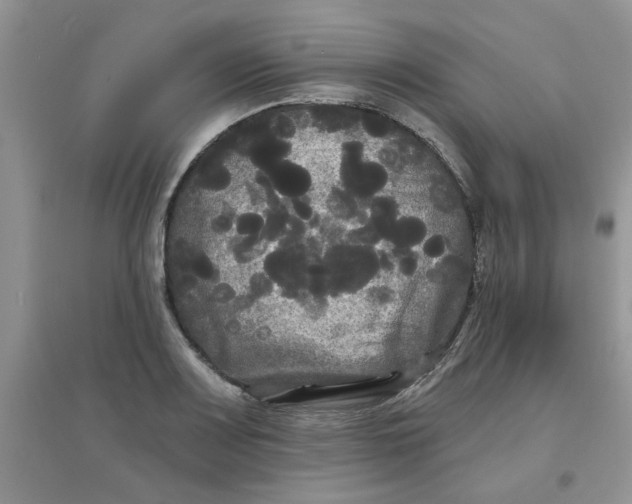 X0000097631083200803142019