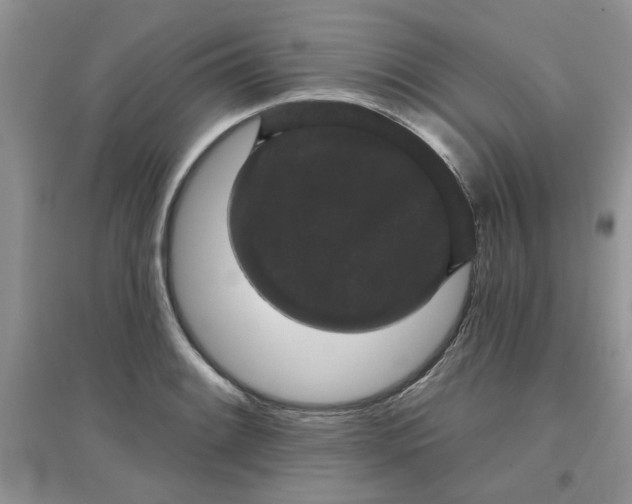 X0000097631084200803142019