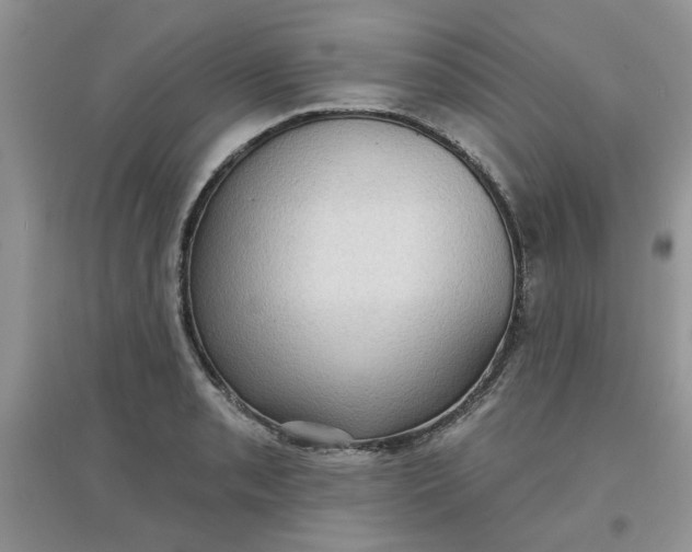 X0000097631085200803142019